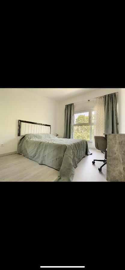 סאן לואיס La Villa Petite Camargue מראה חיצוני תמונה